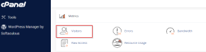 Visitors – cPanel