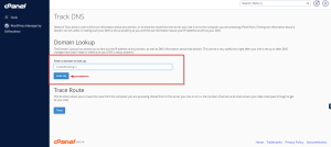 Track DNS – cPanel