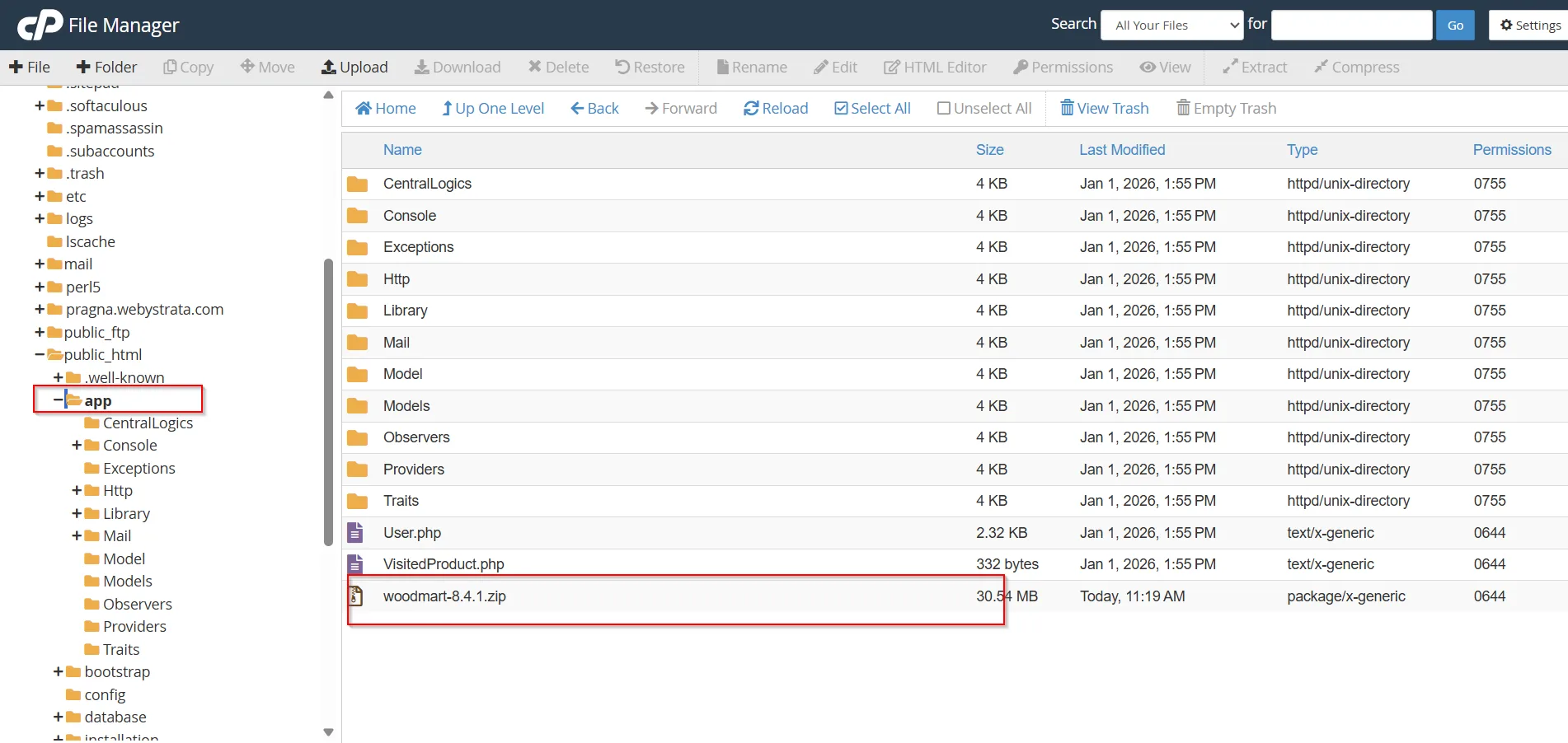 how-to-access-cpanel-file-manager-and-manage-files