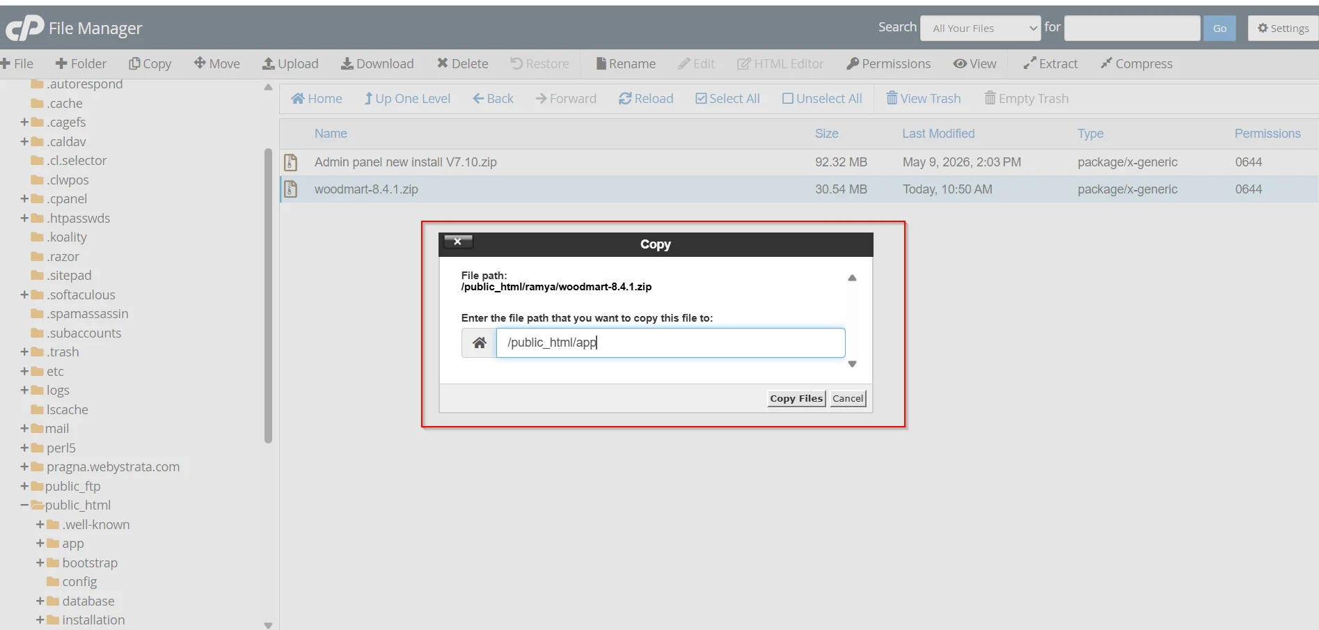 how-to-access-cpanel-file-manager-and-manage-files