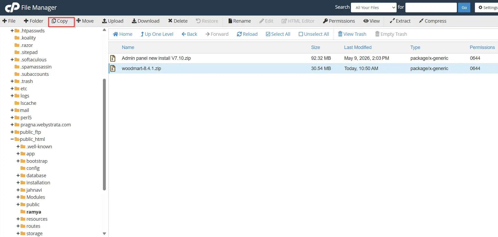 how-to-access-cpanel-file-manager-and-manage-files