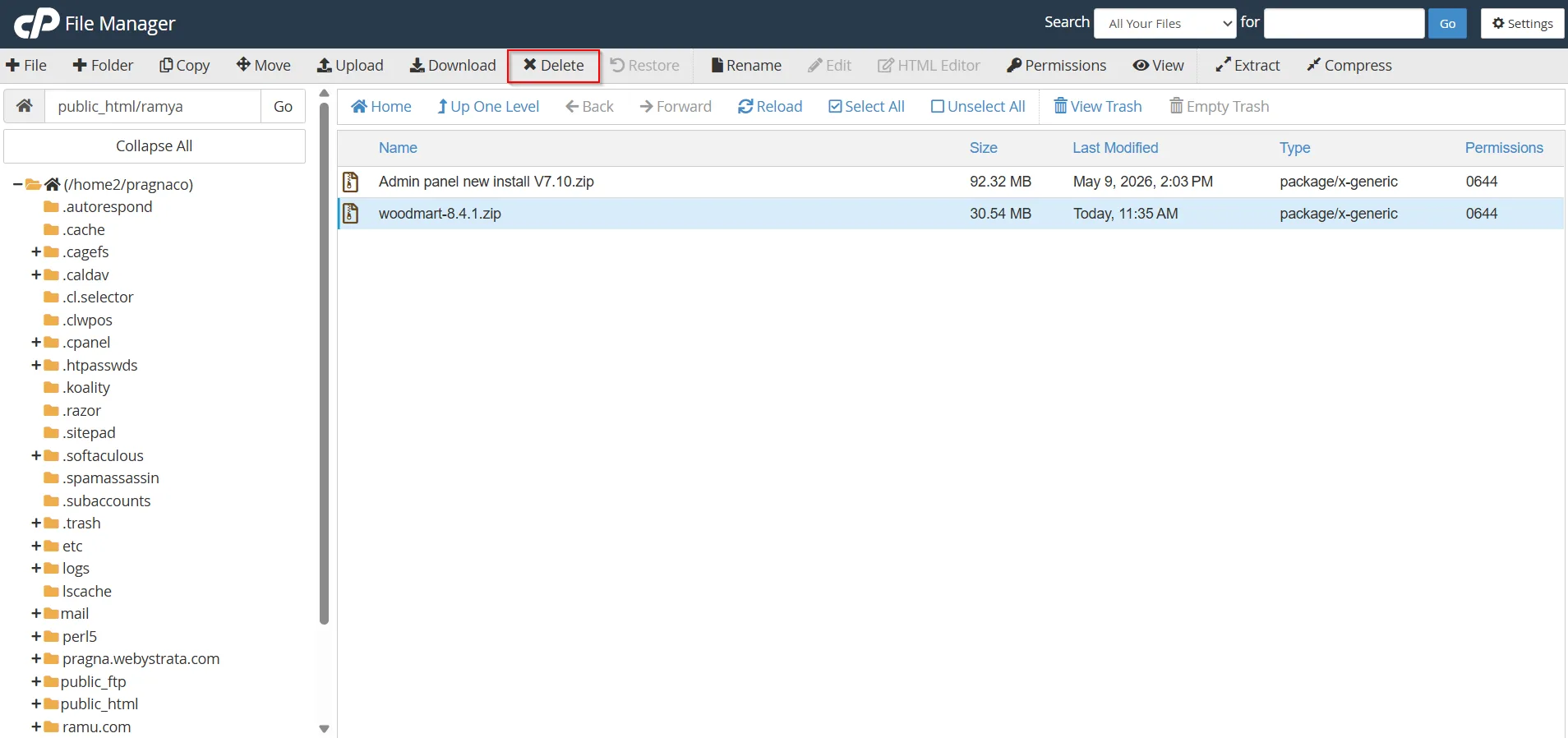 how-to-access-cpanel-file-manager-and-manage-files