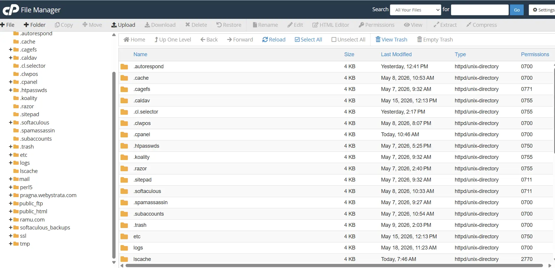 how-to-access-cpanel-file-manager-and-manage-files