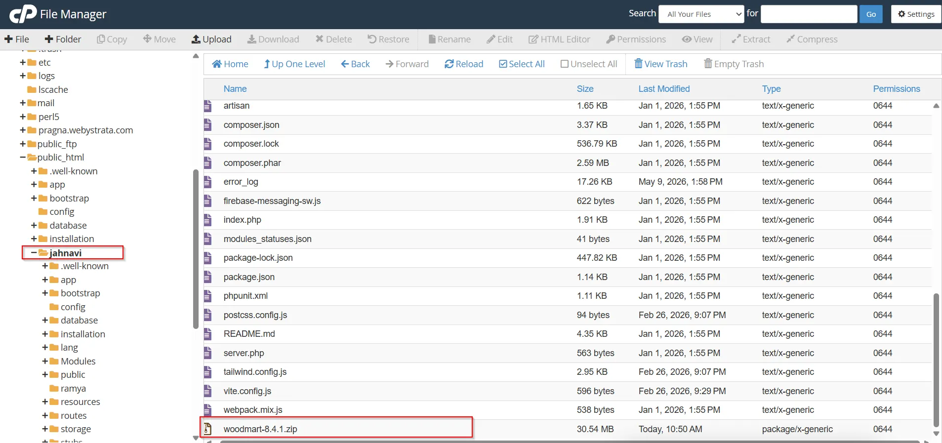 how-to-access-cpanel-file-manager-and-manage-files
